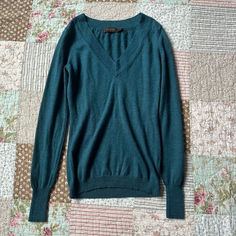 The Limited teal/aqua merino wool blend fitted v-neck top